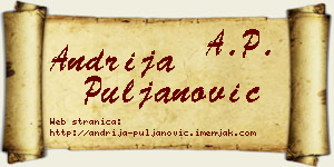 Andrija Puljanović vizit kartica